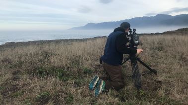 Traumhaus am Strand gesucht