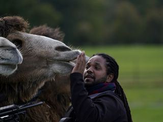 Animal Park: Zoo-Geschichten aus Longleat