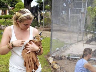 Das Waisenhaus fuer wilde Tiere