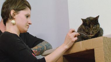 Der Katzenfluesterer