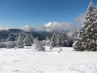 Expedition in die Heimat