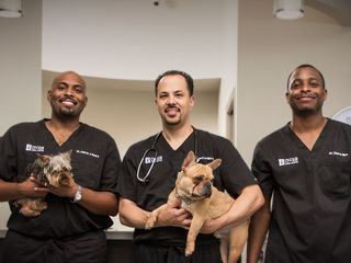 Die Tieraerzte von Houston