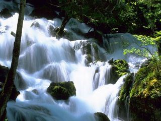 Wiener Wasser