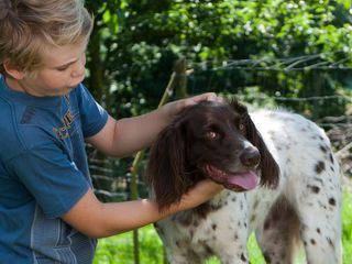 Tiere bis unters Dach
