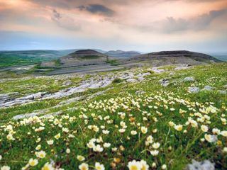 Natura Europa