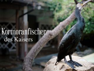 Der Kormoranfischer des Kaisers