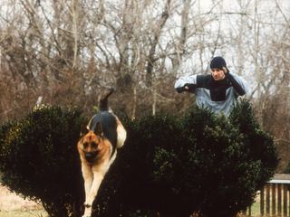 Kommissar Rex