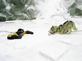 Antarctica - Gefangen im Eis