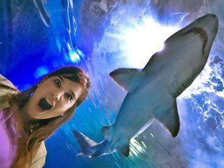 Anna und die wilden Tiere