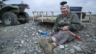 Frostbiten Frostbiten