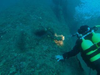 Enthuellt: Geheimnisse der Meere