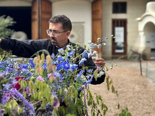 Im Rausch der Blumen