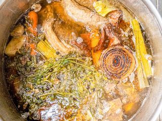 Schoenbrunner Fruehlingsgeschichten - Von Veilchen, Zitrusbaeumen und kulinarischen Traeumen