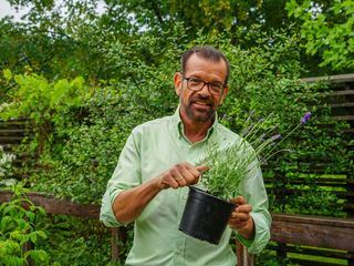 Natur im Garten