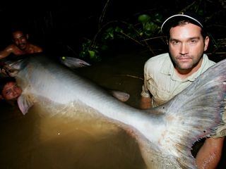 Auf der Suche nach dem Monsterfisch