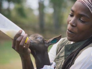 Homegrown - Aus Liebe zum Garten