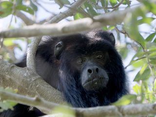 Paraguays unbekannte Schaetze