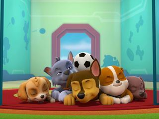 Paw Patrol - Helfer auf vier Pfoten