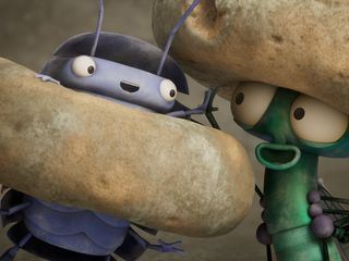 Bienvenue chez les mouches