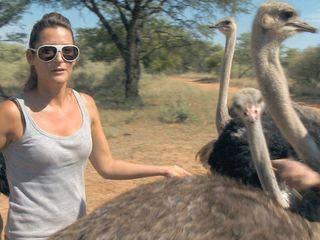 Das Waisenhaus fuer wilde Tiere