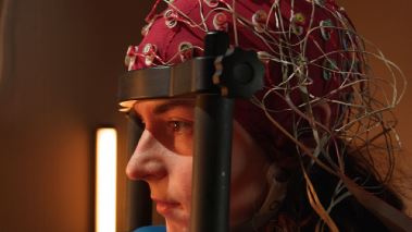 Vetenskapens vaerld: Grundlurad av hjaernan