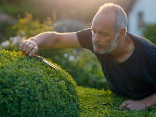 Der Gaertner, der Buddhist und der Spion