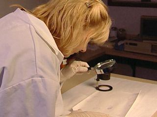 Medical Detectives - Geheimnisse der Gerichtsmedizin