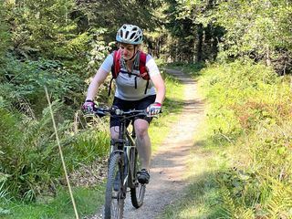 Harz im Herzen