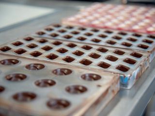 Traeume aus Schokolade - Die Kunst des Pralinenmachens