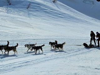 Das Camp in der Wildnis