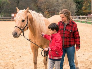 Reiterhof Wildenstein: Der Junge und das Pferd