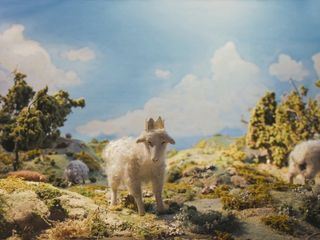 Louis I., Koenig der Schafe