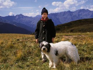 Weihnachten mit Willy Wuff