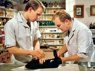 Der Doktor und das liebe Vieh