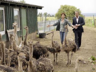 Ein Strauss voll Glueck