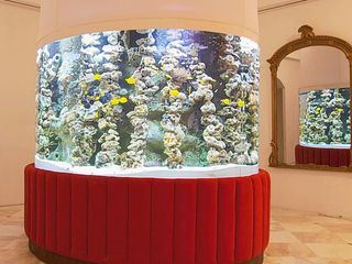 Fish Tank Kings - Gigantische Wasserwelten
