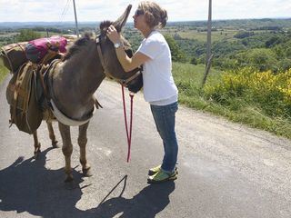 Mit dem Esel auf dem Jakobsweg