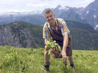 Kraeuterwelten in den Alpen