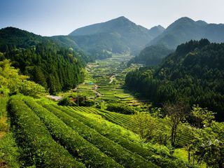 Wildes Japan - Land der tausend Inseln