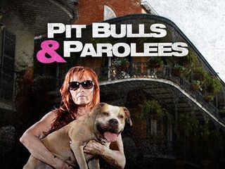 Pitbulls auf Bewaehrung