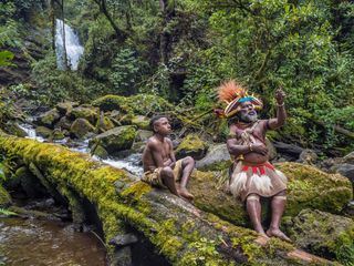 Die Hueter des Waldes