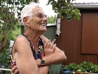 Von Hecke zu Hecke - Bunte Beetgeschichten
