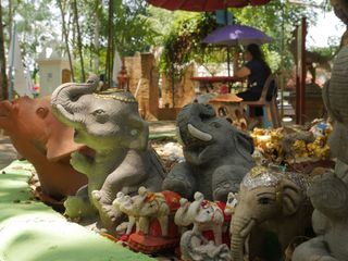 Das Elefantenkrankenhaus von Thailand