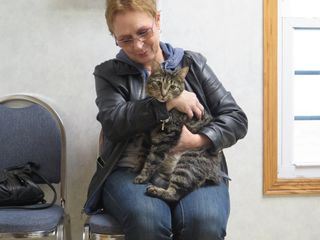 Der unglaubliche Dr. Pol