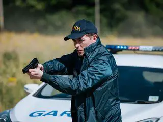 Harry Wild - Moerderjagd in Dublin