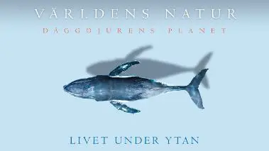 Vaerldens natur: Daeggdjurens planet