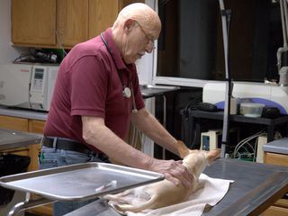 Der unglaubliche Dr. Pol