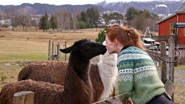 Daer ingen skulle tro att någon kunde bo Daer ingen skulle tro att någon kunde bo