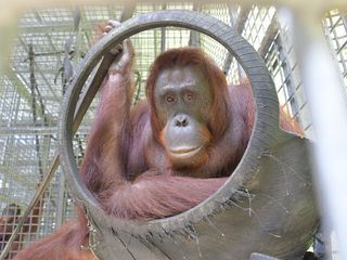 Faszination Erde - mit Hannah Emde