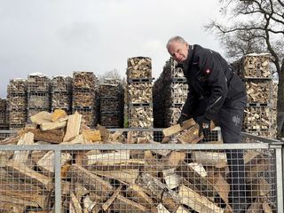 Vom Baumstamm zur wohligen Waerme